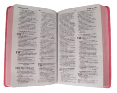 BIBLIA MEDIANA ROSA RVR066ec - comprar en línea