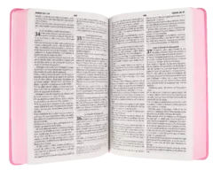 BIBLIA ROSA RVR065ec - comprar en línea