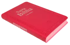 BIBLIA MEDIANA ROSA RVR066ec en internet