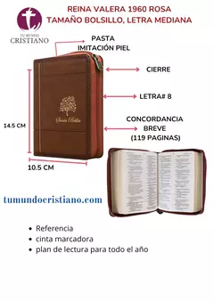 Biblia Reina Valera 1960 Tamaño Bolsillo Letra Mediana Imitación Piel Café [RVR025cZLG]