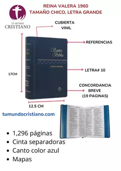 Biblia Reina Valera 1960 Chica Letra Grande Vinil Azul [RVR042cLG]