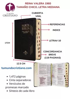 Biblia Fuente de Bendiciones Reina Valera 1960 bolsillo Letra Mediana Vinil Negro [RVR042cLMFBTI]