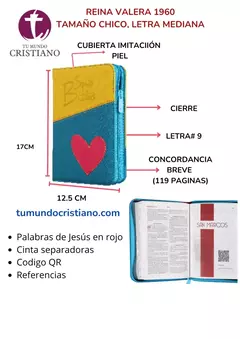 Biblia flores-amarillo-fushia-azul RVR045cZLGPJR