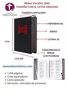 Biblia Fuente de Bendiciones Reina Valera 1960 Chica Letra Mediana Imitación Piel Negro [RVR046cLMFBTI]