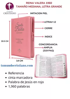 Biblia Reina Valera 1960 Mediana Letra Grande Imitación Piel Rosa [RVR056CLGPJRZTIPU