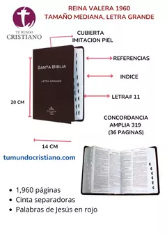 BIBLIA RVR053CTILGPJR MED TD CAFÉ
