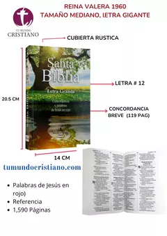 BIBLIA MEDIANA PASTA DE CARTON RUSTICA COLORES RVR060cLGPJR