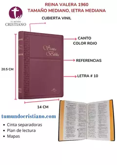 BIBLIA MEDIANO VINIL VINO RVR062c