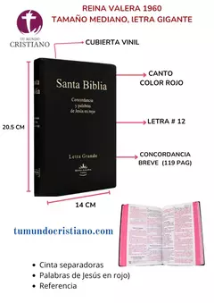 Biblia Reina Valera 1960 Mediana Letra Grande Vinil Negro [RVR062cLGPJR]