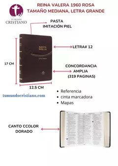 BIBLIA MEDIANA IMITACION VINO RVR065CLG
