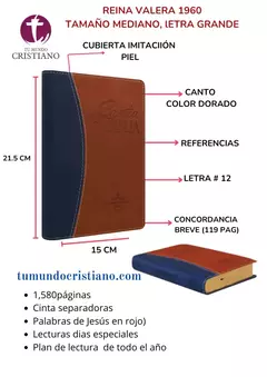 BIBLIA LETRA GRANDE COLOR DUO TONO AZUL/ MARRON RVR065cLGPJR