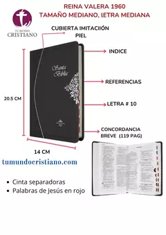 BIBLIA RVR065cTI Neat GRIS