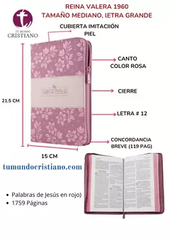 Biblia Reina Valera 1960 Mediana Letra Grande Imitación Piel Rosa Código QR [RVR065cZLGPJR]