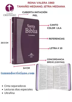 BIBLIA MEDIANA LILA RVR065ec