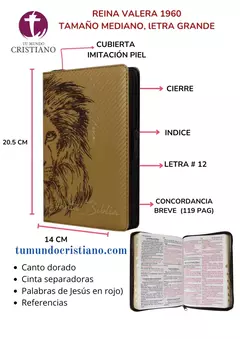 BIBLIA RVR066cLGPJRTIZ PIEL FABRICADA LEON DORADO