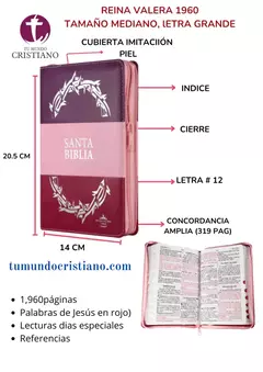 BIBLIA RVR066cLGPJRTIZ-ABS MORADO ROSA