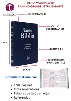 Biblia Reina Valera 1960 Grande Letra Gigante Vinil Azul [RVR082cLGIPJR]