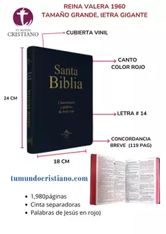 BIBLIA CON CONCORDANCIA AMPLIA LETRA GIGANTE PASTA DE VINIL NEGRO RVR082CLGIPJR