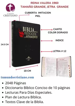 Biblia de Estudio Predicación Reina Valera 1960 Grande Letra Grande Imitación Piel Negro [RVR086cLGEETI-PEN]
