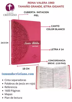 Biblia Reina Valera 1960 Grande Letra Gigante Imitación Piel Rosa [RVR086cLGiPJR]