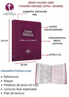 BIBLIA IMITACION PIEL DE LUJO EN COLOR PURPURA RVR086cLGPJR-MEX