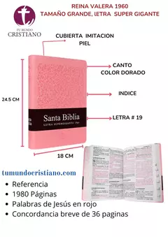 Biblia Reina Valera 1960 Grande Letra Supergigante Imitación Piel Rosa [RVR086cLSGiTIPJR]