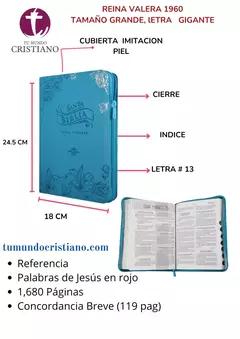 Biblia Reina Valera 1960 Grande Letra Gigante Imitación Piel Azul [RVR085cZTILGiPJR]