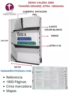 BIBLIA ESQUEMATIZADA IMIT PIEL RVR086EEcTI