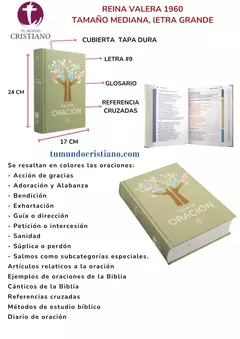 Biblia de Oración Reina Valera 1960 Grande Letra Grande Tapa Dura Crema [RVR083cLGPJR]