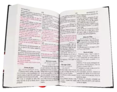 BIBLIA MEDIANA DE TAPA DURA NEGRA CON LETRA GRANDE RVR063cLGPJR en internet