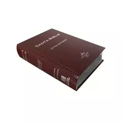 BIBLIA RVR053CTILGPJR MED TD CAFÉ - comprar en línea