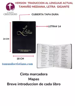 Biblia Traducción Lenguaje Actual Mediana Letra Grande Vinil Negro [TLA62LG]
