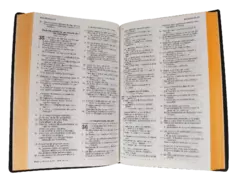 BIBLIA MEDIANO VINIL VINO RVR062c - comprar en línea