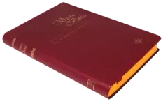 BIBLIA MEDIANO VINIL VINO RVR062c en internet