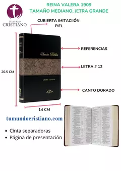 Biblia Reina Valera 1909 Mediana Letra Grande Imitación Piel Negro [VR065LG]