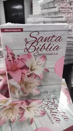 BIBLIA FUENTE DE BENDICIONES QUINCEAÑERA RVR046cLMFBTIZ-Q - comprar en línea