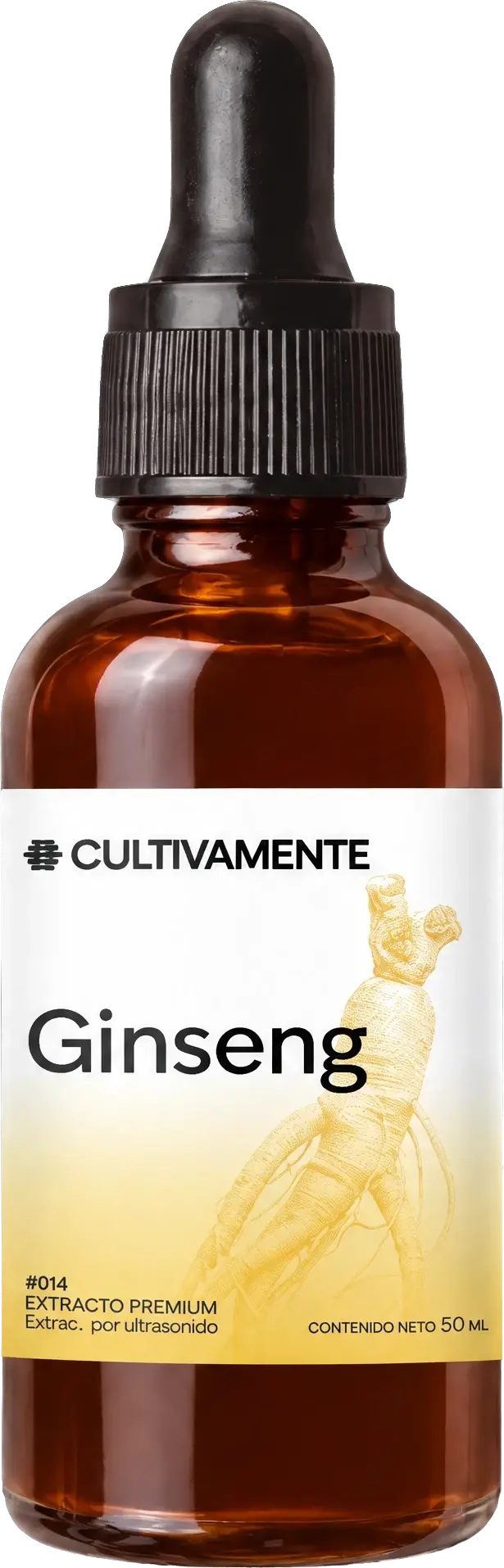 Ginseng