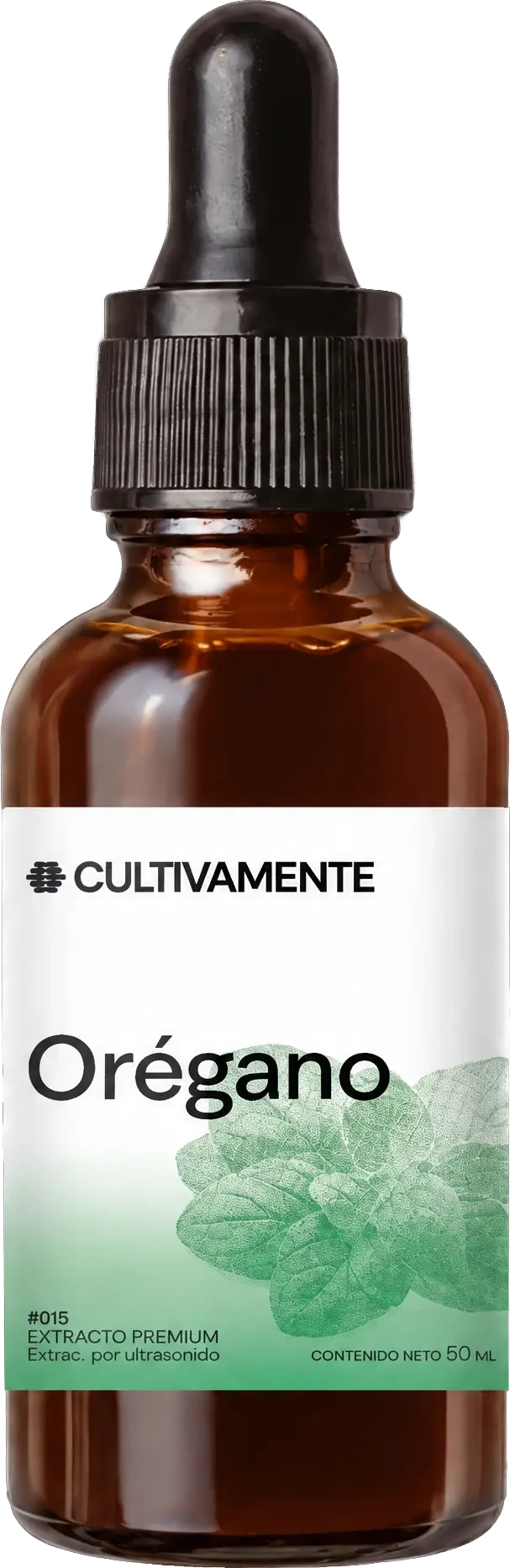 Orégano