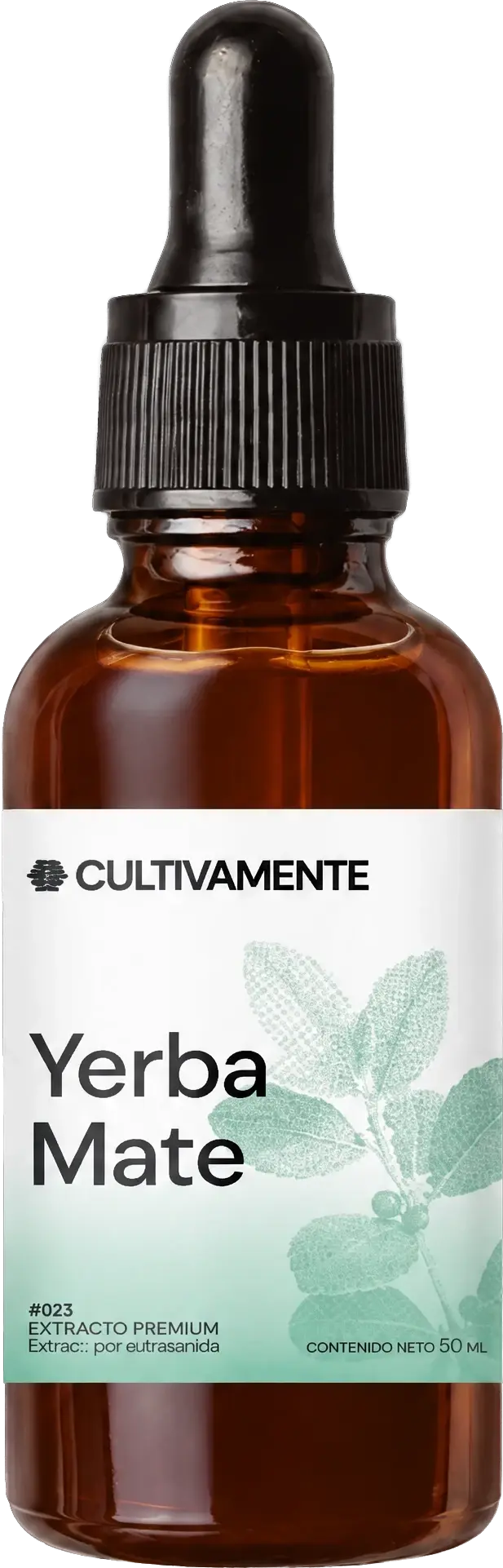 Yerba Mate