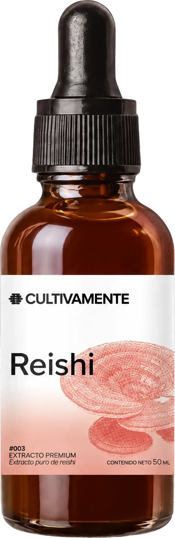 Reishi