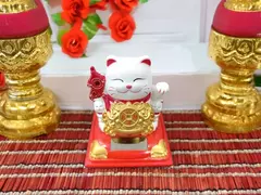 GATO ATRAE CLIENTES GRANDE EN CAJA CRISTAL en internet