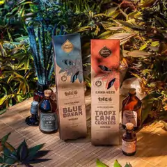 SAHUMERIO LINEA CANNABIS SAGRADA MADRE - comprar online