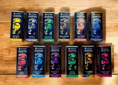 Conos Aromaticos Momentos Aromanza x 12 unidades - tienda online