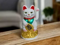 GATO ATRAE CLIENTES BLANCO