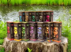 Conos Aromaticos Momentos Aromanza x 12 unidades