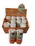 Caja Sonny Angel Tigre x12 - comprar online