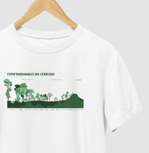 Fitofisionomias