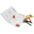 Livro-kit de Atividades: Selva - Todo Livro - comprar online