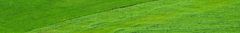 Banner da categoria Estaca Fibra de Coco