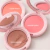 CHER 18 POLVO BRONCEADOR SARCASTIC BLUSHY MATT BRONZER SUGAR BROWN - comprar online